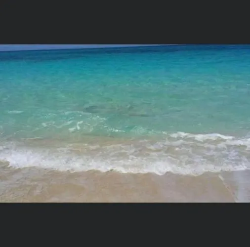 New Vinecia Resort Ain Sukhna